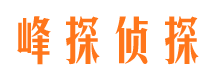 广灵侦探公司